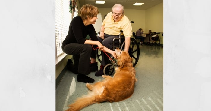 3-types-of-service-dogs-how-they-differ